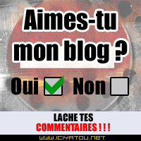 Aimez vous mon blog ?